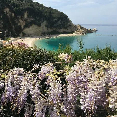 In Kavalos
